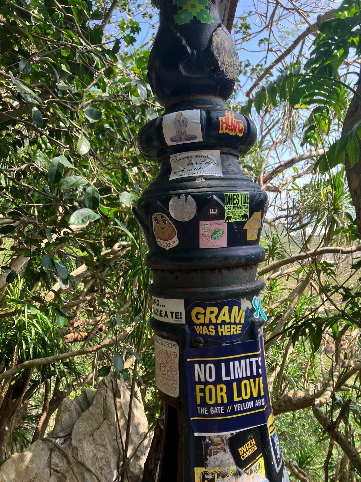 A waendom sticker on a dark post surrounded by dense tropical greenery